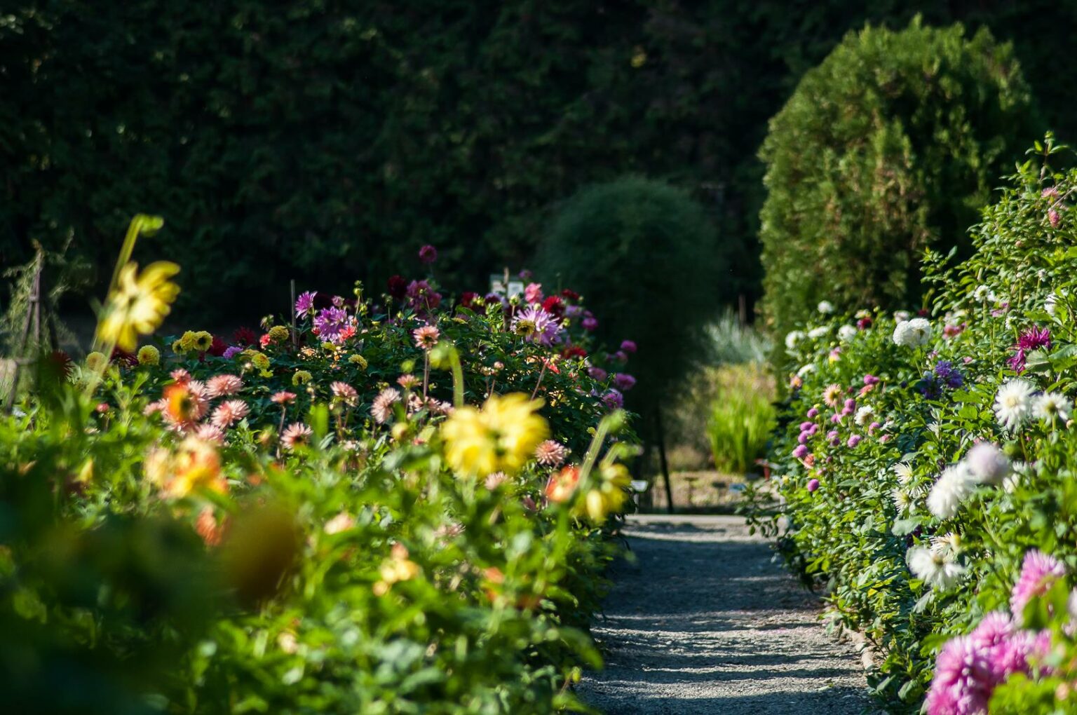 Ogród botaniczny