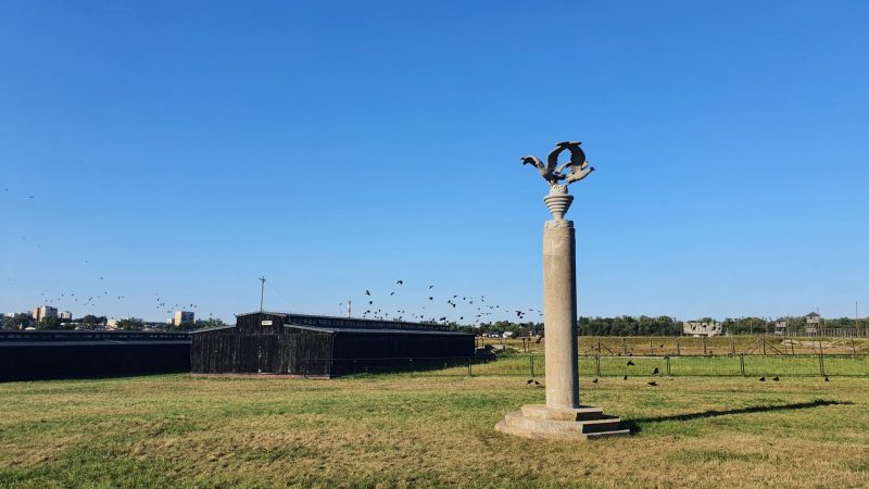 Rzeźba na terenie Państwowego Muzeum na Majdanku, w tle barak z ciemnego drewna oraz czyste błękitne niebo. Rzeźba to 6 metrowa kolumna zwieńczona głowicą w kształcie urny oplecionej wieńcem laurowym, z której zrywają się do lotu trzy pół-gołębie, pół-orły.